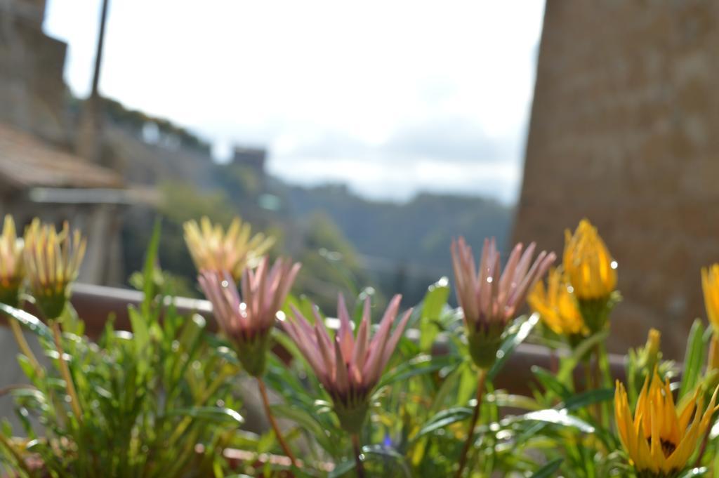 Casa Dei Lavatoi Pitigliano Apartment Екстериор снимка