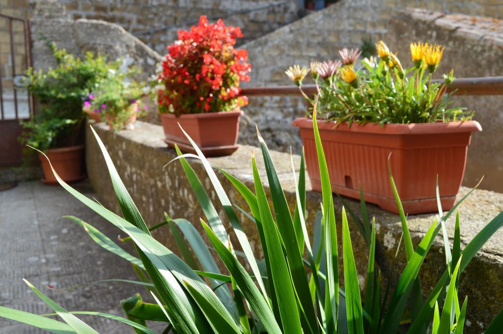 Casa Dei Lavatoi Pitigliano Apartment Екстериор снимка